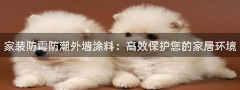 上海和记餐饮有限公司：家装防霉防潮外墙涂料：高效保护您的家居