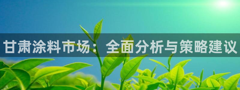 和记国际：甘肃涂料市场：全面分析与策略建议