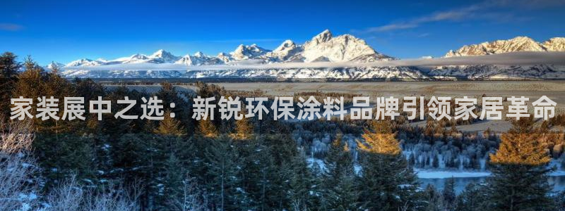 江苏和记餐饮有限公司：家装展中之选：新锐环保涂料品牌引领家居革命