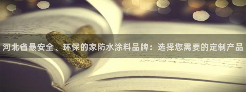 江苏和记数码科技有限公司：河北省最安全、环保的家防水涂料品牌：选择您需要的定制产品