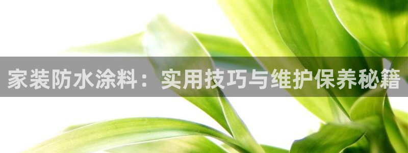 和记ag：家装防水涂料：实用技巧与维护保养秘籍