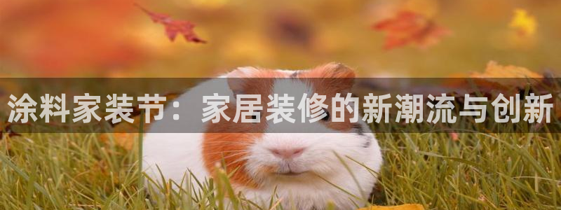 和记(福建)商贸有限公司招聘：涂料家装节：家居装修的新潮流与创新