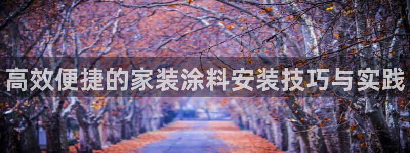 和记 官网：高效便捷的家装涂料安装技巧与实践