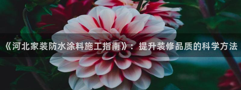 深圳和记科技有限公司：《河北家装防水涂料施工指南》：提升装修品质的科学方法