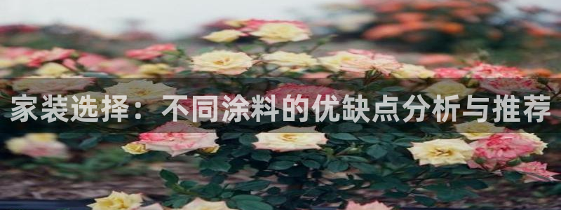 和记国际开户：家装选择：不同涂料的优缺点分析与推荐