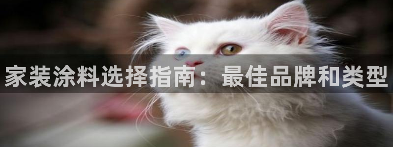 和记 首页：家装涂料选择指南：最佳品牌和类型