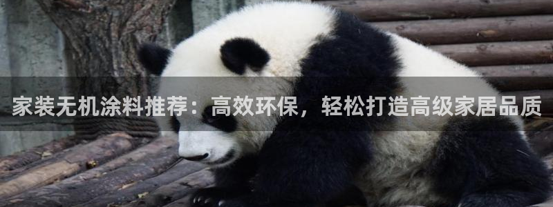 和记官网官方网站：家装无机涂料推荐：高效环保，轻松打造高级家居品质