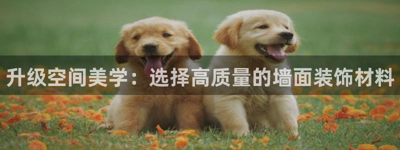 和记paging：升级空间美学：选择高质量的墙面装饰材料