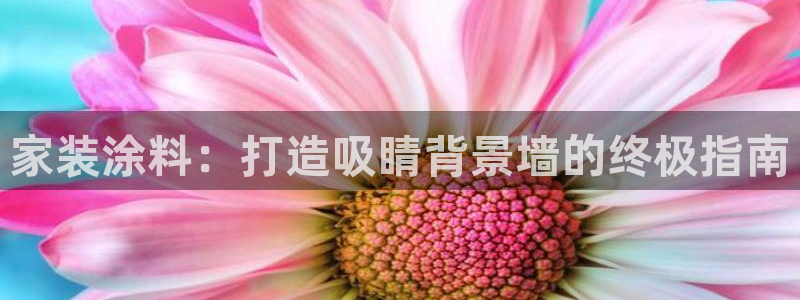 和记H88：家装涂料：打造吸睛背景墙的终极指南